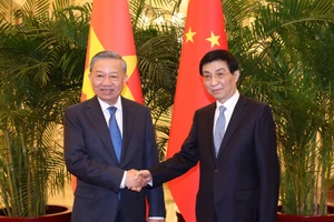 Tổng Bí thư, Chủ tịch nước Tô Lâm hội kiến Chủ tịch Chính hiệp toàn quốc Trung Quốc Vương Hộ Ninh. Ảnh: Trí Dũng-TTXVN