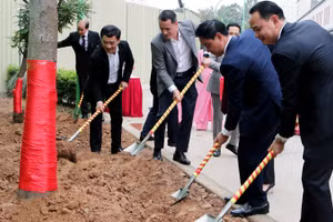 Lãnh đạo các đơn vị ngành Y tế Hà Nội tham gia "Tết trồng cây Xuân Giáp Thìn năm 2024" tại Bệnh viện đa khoa Hồng Ngọc.