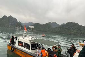 Lực lượng cứu nạn tham gia cứu hộ trong vụ máy bay rơi. Ảnh: Phạm Đức