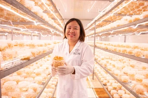 Người phụ nữ nuôi cấy đông trùng hạ thảo Made in Việt Nam