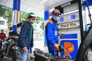 Ảnh minh họa: THÀNH ĐẠT