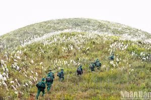 Ảnh minh họa: Thành Đạt