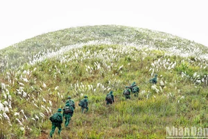 Ảnh minh họa: Thành Đạt