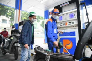 Ảnh: THÀNH ĐẠT