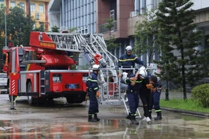 Ảnh minh họa: TTXVN