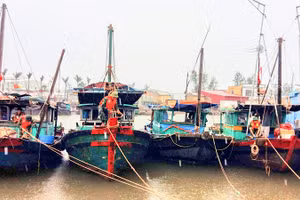 Hải Phòng không còn tàu thuyền hoạt động trong vùng nguy hiểm của bão số 1