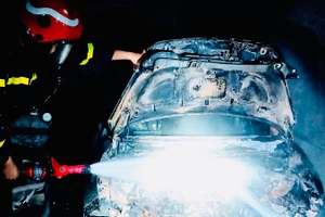 Lực lượng chữa cháy nhanh chóng dập tắt nguồn phát cháy trong nhà.