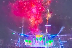 Thành phố Cảng hân hoan chào đón năm mới.