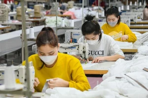 Ảnh minh họa. (Ảnh: THÀNH ĐẠT)