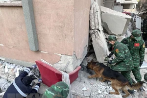 Lực lượng cứu hộ Quân đội sử dụng máy dò và chó nghiệp vụ để tìm kiếm, cứu trợ các nạn nhân. (Ảnh: Văn Hiếu/TTXVN)