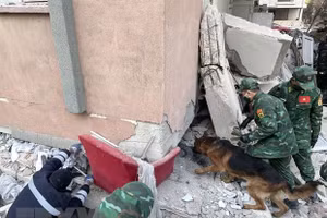 Lực lượng cứu hộ Quân đội sử dụng máy dò và chó nghiệp vụ để tìm kiếm, cứu trợ các nạn nhân. (Ảnh: Văn Hiếu/TTXVN)
