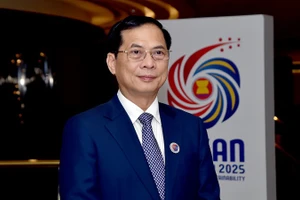 Phó Thủ tướng, Bộ trưởng Ngoại giao Bùi Thanh Sơn. (Ảnh: BNG)