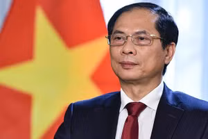 Bộ trưởng Ngoại giao Bùi Thanh Sơn.
