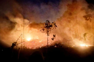 Đám cháy rừng ở xã Tiên Hội được khống chế sau 2 giờ.