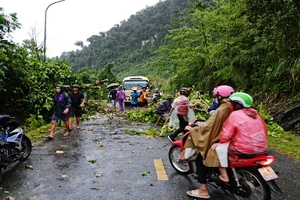 Mưa và gió to làm gãy đổ nhiều cây ven đường gây ảnh hưởng giao thông.