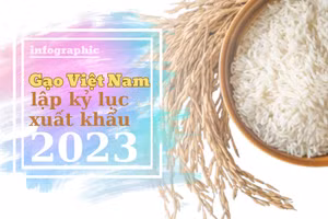 Gạo Việt Nam lập kỷ lục xuất khẩu