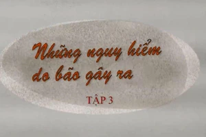 Những nguy hiểm do bão gây ra