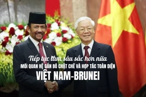 Tiếp tục làm sâu sắc hơn nữa mối quan hệ gắn bó chặt chẽ và hợp tác toàn diện Việt Nam-Brunei
