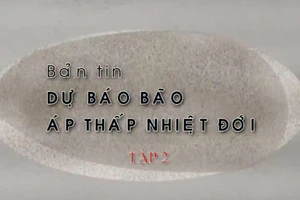 Bản tin dự báo bão, áp thấp nhiệt đới