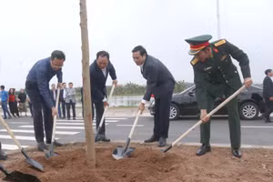 Lãnh đạo tỉnh Hưng Yên cùng nhân dân thành phố Hưng Yên đã trồng hơn 200 cây hoa ban tại dải phân cách tuyến đường trục Bắc Nam, khu Đại học Phố Hiến, thành phố Hưng Yên, tỉnh Hưng Yên.