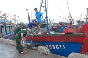 Bộ đội Biên phòng Ðồn Nghi Sơn, Thanh Hóa hỗ trợ ngư dân kiểm tra, đưa phương tiện vào nơi neo đậu an toàn. 