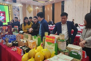 Các sản phẩm tại Hội nghị đánh giá, phân hạng OCOP 4 sao cấp tỉnh năm 2023.