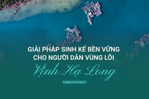 Giải pháp sinh kế bền vững cho người dân vùng lõi Vịnh Hạ Long