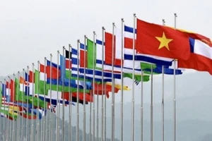 Ảnh minh họa: Cờ Việt Nam và các nước trên thế giới.