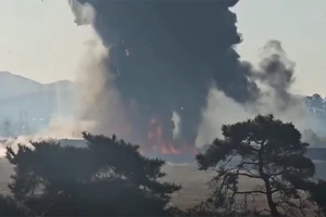 [Video] Khoảnh khắc máy bay chở 181 người của Hàn Quốc bốc cháy