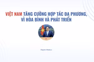 Việt Nam tăng cường hợp tác đa phương, vì hòa bình và phát triển