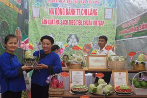 Sản phẩm quả na Chi Lăng (huyện Chi Lăng) được trưng bày tại Chương trình quảng bá, tiêu thụ na. 