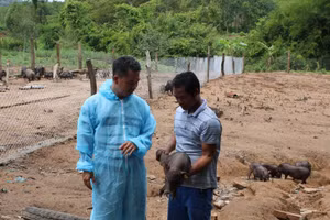 Đồng bào dân tộc sản xuất nông nghiệp trên phần đất được giao nhận.