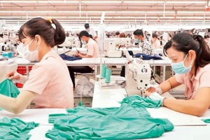 Lao động tại Công ty CP Dệt may đầu tư thương mại Thành Công (Ảnh minh họa: Phương Vy).