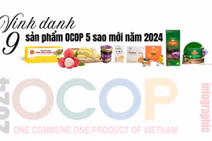 [Infographic] Năm 2024: Vinh danh 9 sản phẩm OCOP 5 sao mới