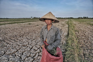 Châu thổ Cửu Long ứng phó hạn-mặn