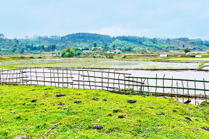 Dung dị với Kon Vơng Kia