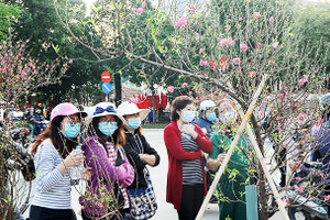Những cái Tết không quên