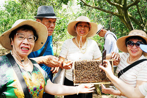 Du lịch sinh thái hút khách