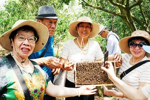 Thích thú với các tổ ong mật.