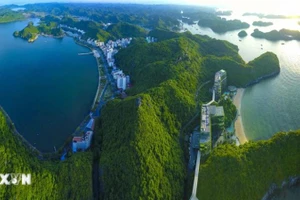 Ảnh minh họa. (TTXVN)