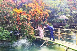 Du khách tạo dáng cùng hoa trang.