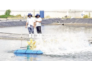 Khu vực xử lý nước thải tại trang trại nuôi tôm của Công ty TNHH nuôi trồng thủy sản Tuấn Hiền.