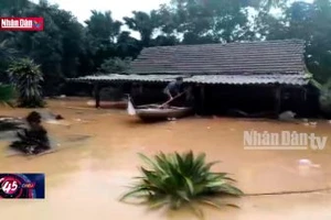 Quảng Bình: Hàng trăm nhà dân ngập sâu do mưa lớn