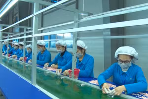 Công nhân trong Khu công nghiệp tỉnh Hà Nam trở lại làm việc sau kỳ nghỉ Tết.