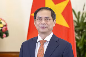 Bộ trưởng Ngoại giao Bùi Thanh Sơn. (Ảnh: Bộ Ngoại giao)