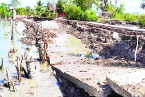 Sự cố sụt lún làm hư hỏng đường giao thông nông thôn, khiến việc đi lại giữa các ấp So Đũa, Má Tám và Hiệp Thành của xã Việt Thắng gặp nhiều khó khăn.