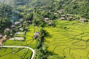 Nghĩa Đô - sức sống miền suối sạch, đồng xanh