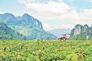 Thúc đẩy phát triển du lịch xanh,bền vững