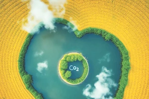 Tín chỉ carbon - Cơ hội và thách thức cho nông nghiệp