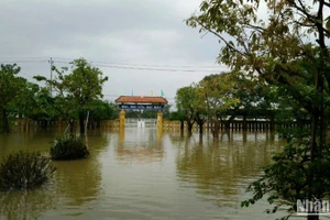 Mưa lũ đang diễn biến phức tạp, ngành giáo cho học sinh toàn tỉnh nghỉ học.